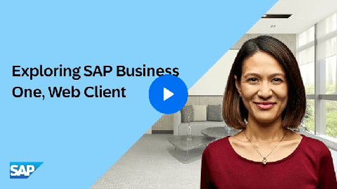 sap business one webclient